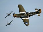 p51withtwoinbackground_906.jpg