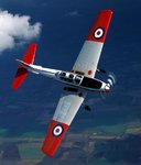 chipmunkb_693.jpg