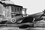 Curtiss P-40 Warhawk (Japon).jpg