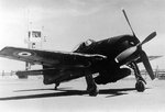 bearcat_reco600_DR_inconnu_site_brun.jpg