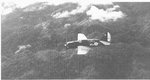 Curtiss SB2C Helldiver 003.jpg