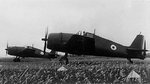 Hellcat_F6F_AA.jpg