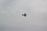 P-40 flight 2.jpg