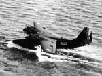 02_Goose_col_Boespflugph.jpg