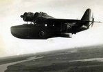 goose456Jacques_P.jpg