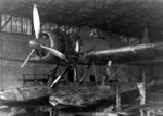 05_AichiCat_Lai_1947col_Boespflug_via_Moitry_ph.jpg