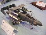 6_A-10_5163.JPG