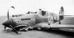 P-40 1.jpg