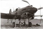 P-40 1 .jpg