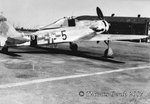 Fw190d9_5.jpg