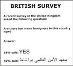 BritishSurvey.jpg