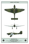 Ju87B2_StG2_1_3V_Dev.jpg