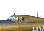 P47garb1.jpg