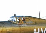 P47garb1.jpg
