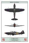 NFMk1_Poland_307Sqn_3V_Dev.jpg