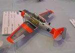 3_Texan_9957.JPG