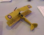 4_Tigermoth_0333.JPG