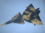 Viggen Splinter Camouflage 11.jpg