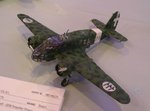 9_Caproni Ca311_0340.JPG