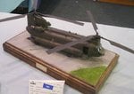 1_Chinook_5268.JPG