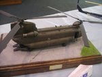 1_Chinook_5269.JPG