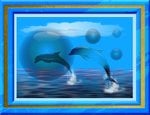 Dolphins In A Dream .jpg