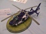 5_Dauphin_5263.JPG