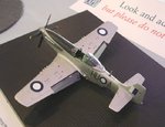 15_Aussie P-51D_9949.JPG