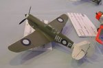 16_Aussie P-40_9958.JPG