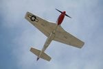 Reddog9.jpg