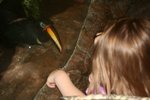 IMG_5950.JPG