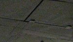 Mystery plane....jpg