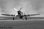 ms4.jpg