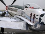 Mustang29-2.jpg