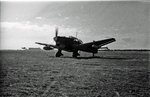 1941 Catania Ju87 7°Gruppo d.jpg