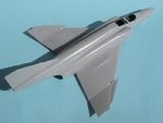 30_Wings  Nose_1345.JPG