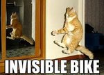 Invisible Bike.jpg