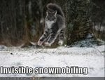 Invisible Snowmobiling.jpg