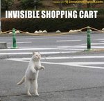 Shopping Cart.jpg
