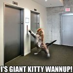 giant%20kitty.jpg