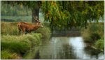 1280435366MCnewet.jpg
