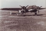 DO-17.jpg