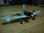 DSC02303.jpg