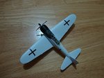 DSC02317.jpg