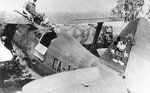 Polikarpov I-15 Chato 009.jpg