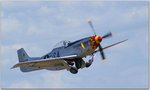 duc2.jpg