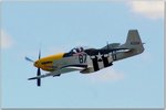 duc4.jpg
