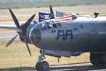 fifi4.jpg