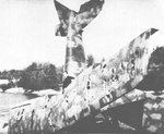 spad.jpg