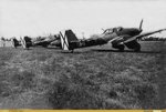 avc_00177675.jpg